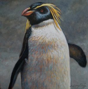 Big Crested Penguin